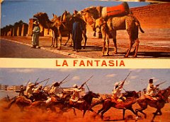 ORAN FANTASIA DU COTE MAROC